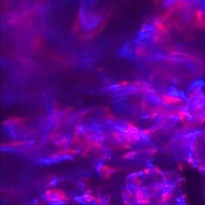 Meet your Posher, Alexa